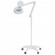 Lampe loupe sur pied