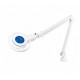 Lampe MS LED / LED PLUS - MIMSAL