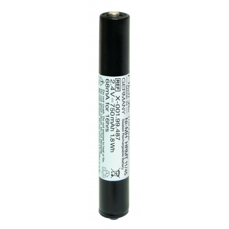 Batterie rechargeable Nimh 2Z